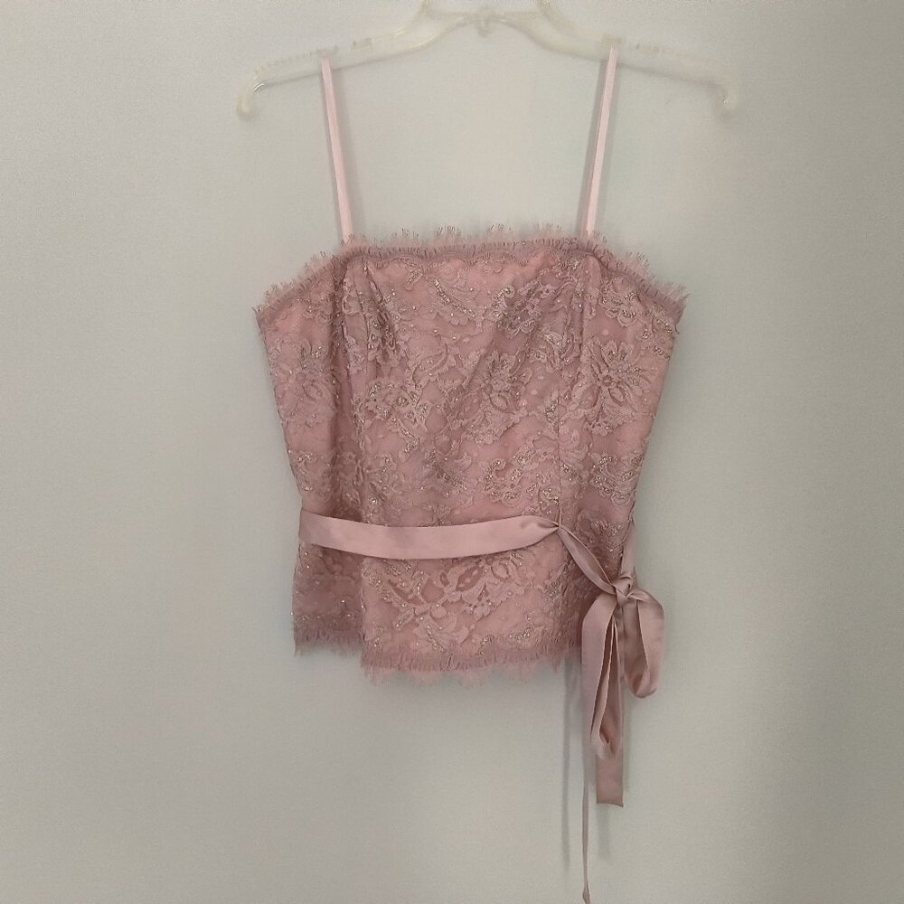Adrianna Papell Pink Lace Strapless Corset Size 6